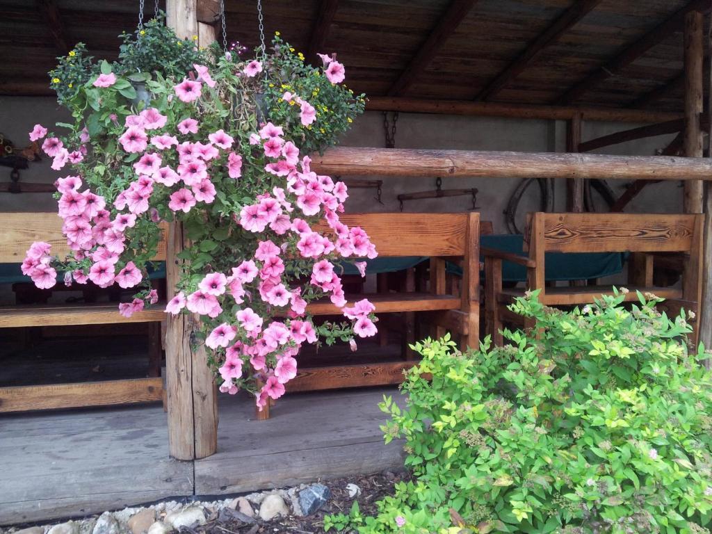 Penzion Piano Ranch Mladá Boleslav Zewnętrze zdjęcie