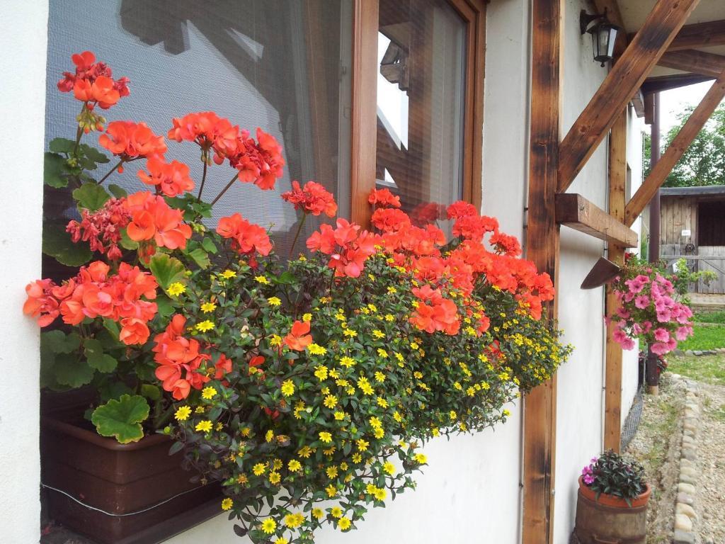 Penzion Piano Ranch Mladá Boleslav Zewnętrze zdjęcie