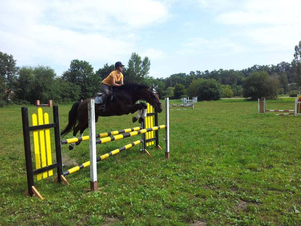 Penzion Piano Ranch Mladá Boleslav Zewnętrze zdjęcie